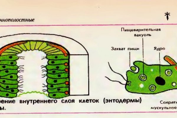 Кракен вход ссылка kraken torion net