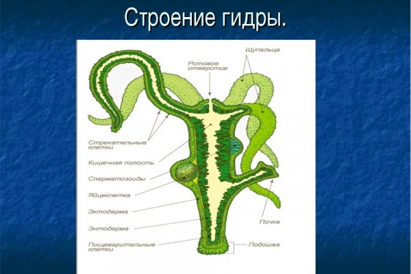 Кракен это даркнет