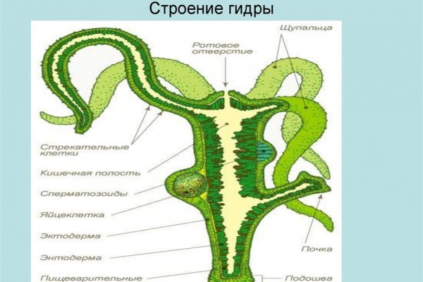 Кракен маркетплейс как зайти