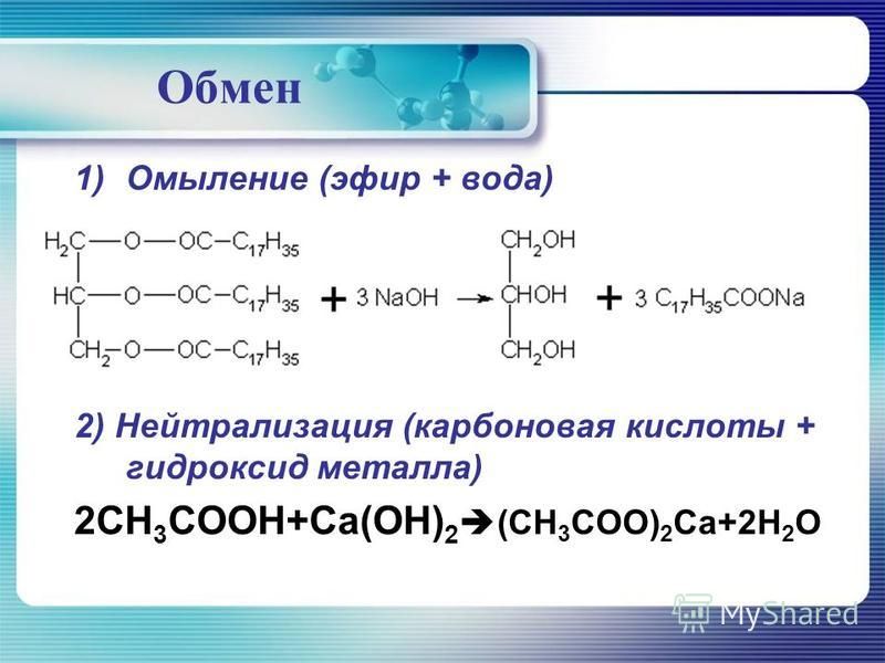 Кракен ссылка прокатис